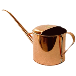 QUELQUES TUBES ...........