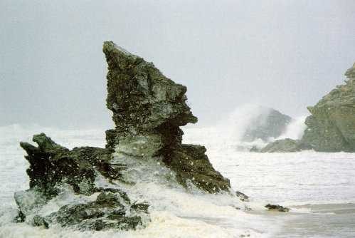 PAS DE TUBES CE SOIR............