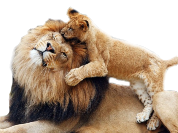 JOURNEE BIEN MISE A PROFIT.....