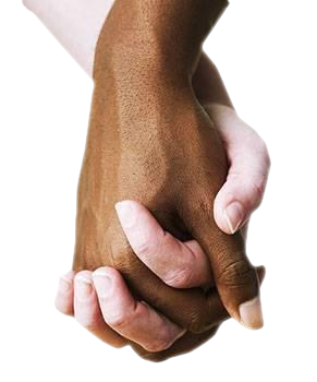 NOUVELLE RUBRIQUE....