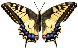 JOURNEE BIEN MISE A PROFIT.....