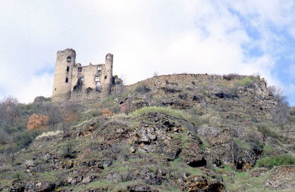 KIKOU LES AMIES ET AMIS.........