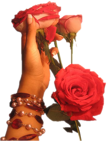 QUELQUES TUBES POUR VOS CREATIONS..........