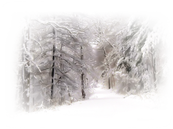 kikou mes amies et amis.........