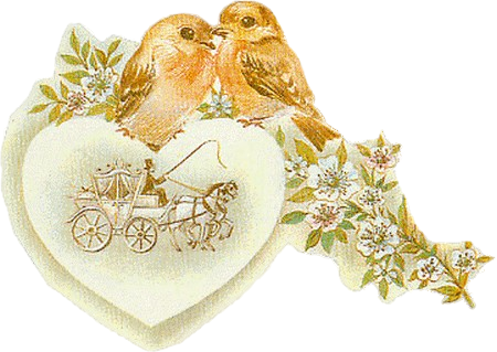 COUCOU COMMENT ALLEZ VOUS????