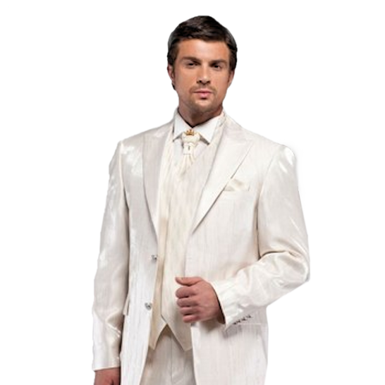 Costume Homme Png : Vêtements Sur Mesure: Costumes, Chemises, Vestes 